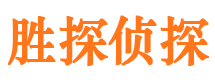 东河市侦探公司